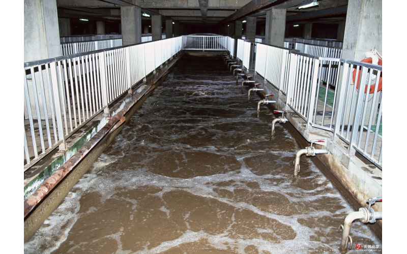 Papermaking  Industry Fungicides Preservatives